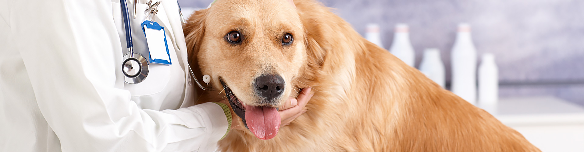 Clínica Veterinaria Cruz Verde